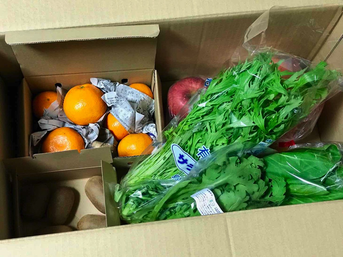 「季節の野菜を直接配送！季節のスムージー」を買ってみた